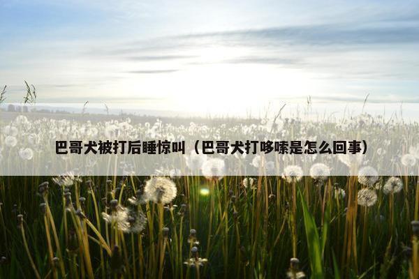 巴哥犬被打后睡惊叫（巴哥犬打哆嗦是怎么回事）