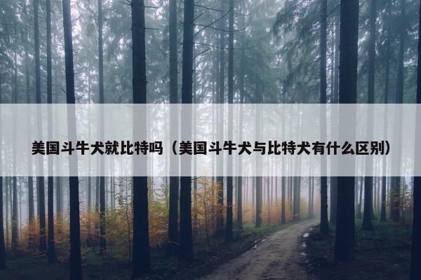 美国斗牛犬就比特吗（美国斗牛犬与比特犬有什么区别）