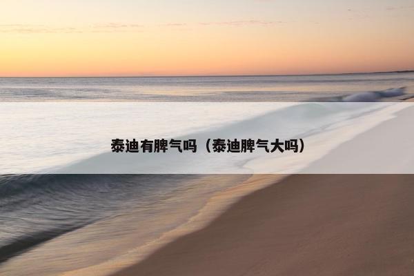 泰迪有脾气吗（泰迪脾气大吗）