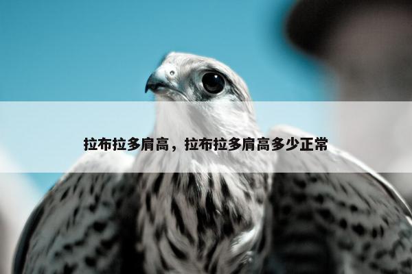 厘米 第8页