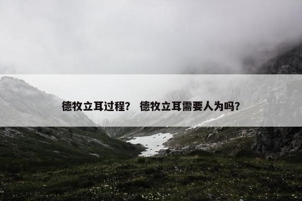 德牧立耳过程？ 德牧立耳需要人为吗？