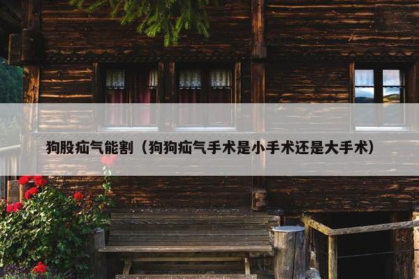 狗股疝气能割（狗狗疝气手术是小手术还是大手术）