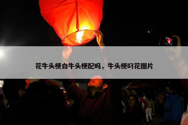 花牛头梗白牛头梗配吗，牛头梗叼花图片