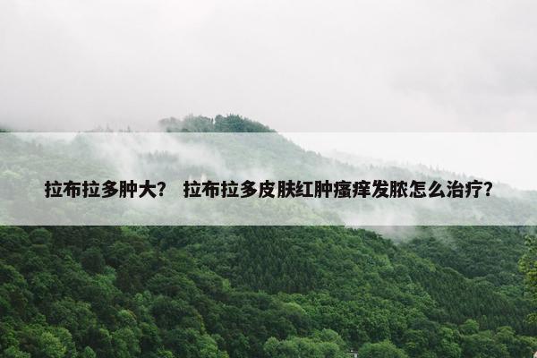 拉布拉多肿大？ 拉布拉多皮肤红肿瘙痒发脓怎么治疗？
