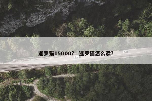 暹罗猫15000？ 暹罗猫怎么读？
