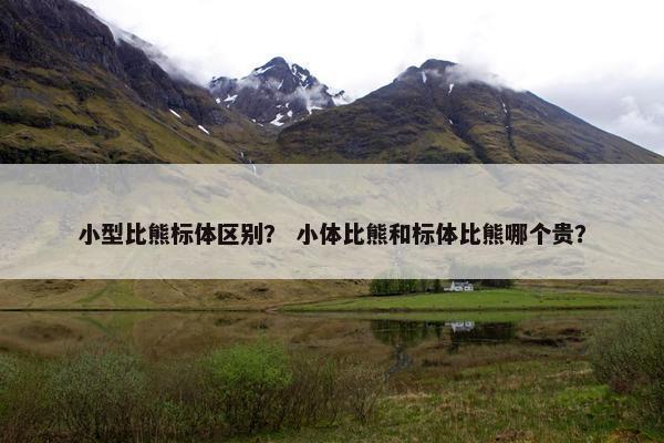 小型比熊标体区别？ 小体比熊和标体比熊哪个贵？
