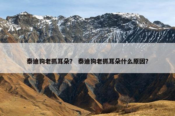 泰迪狗老抓耳朵？ 泰迪狗老抓耳朵什么原因？
