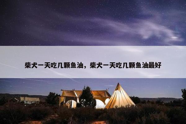 柴犬一天吃几颗鱼油，柴犬一天吃几颗鱼油最好
