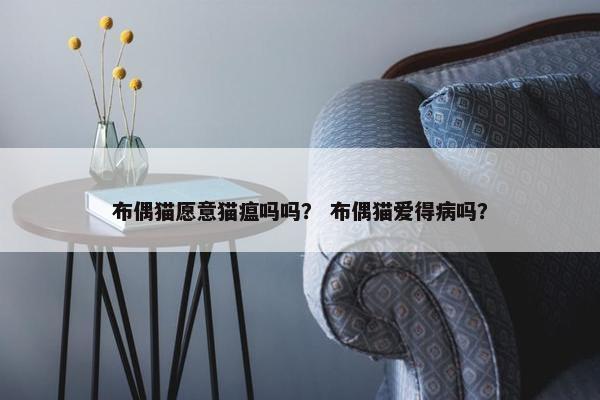 布偶猫愿意猫瘟吗吗？ 布偶猫爱得病吗？