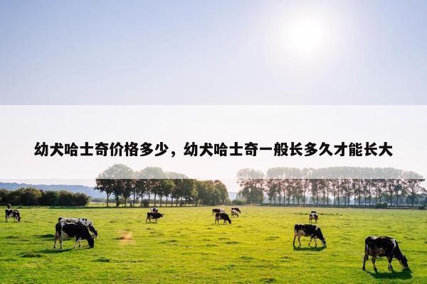 幼犬哈士奇价格多少，幼犬哈士奇一般长多久才能长大