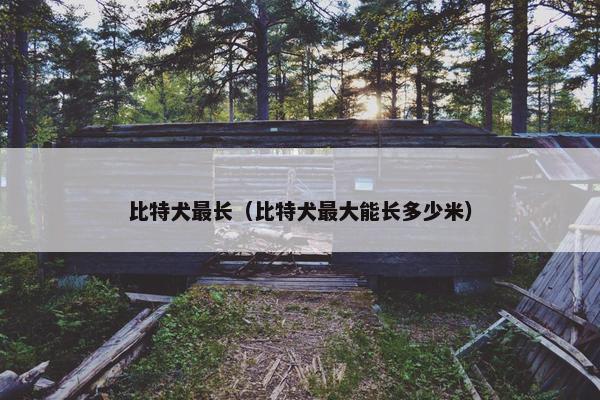 比特犬最长（比特犬最大能长多少米）