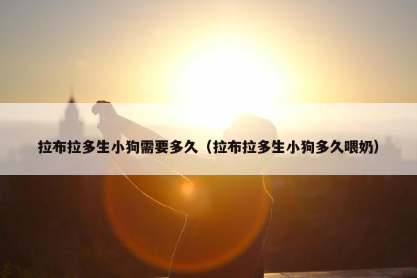拉布拉多生小狗需要多久（拉布拉多生小狗多久喂奶）