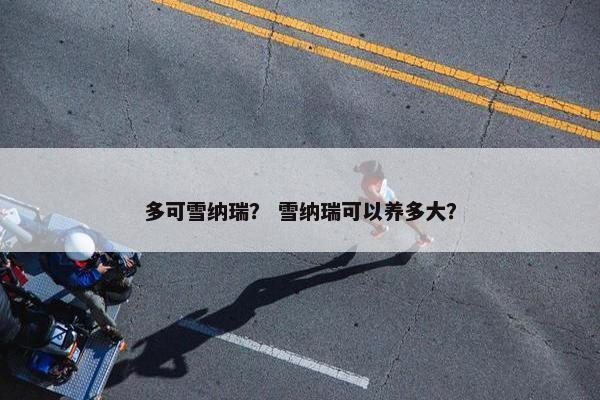 多可雪纳瑞？ 雪纳瑞可以养多大？