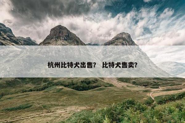 杭州比特犬出售？ 比特犬售卖？