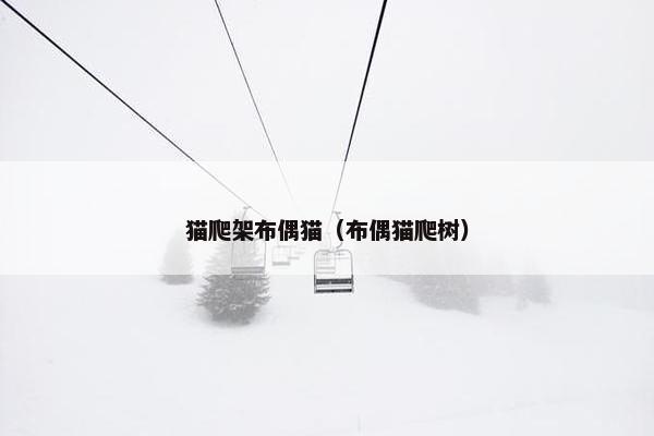 猫爬架布偶猫（布偶猫爬树）