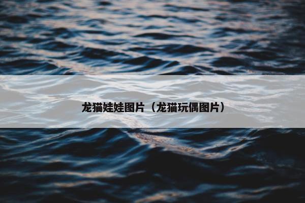 龙猫娃娃图片（龙猫玩偶图片）
