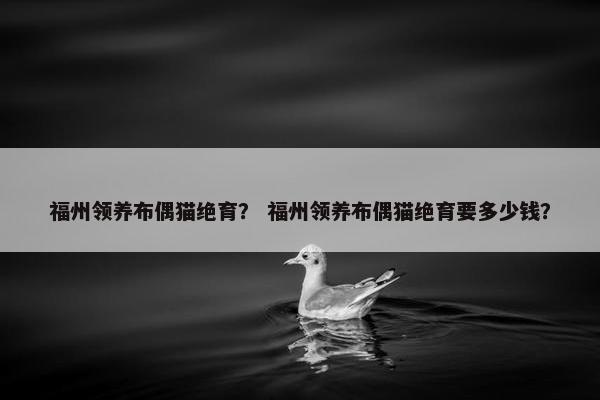 福州领养布偶猫绝育？ 福州领养布偶猫绝育要多少钱？