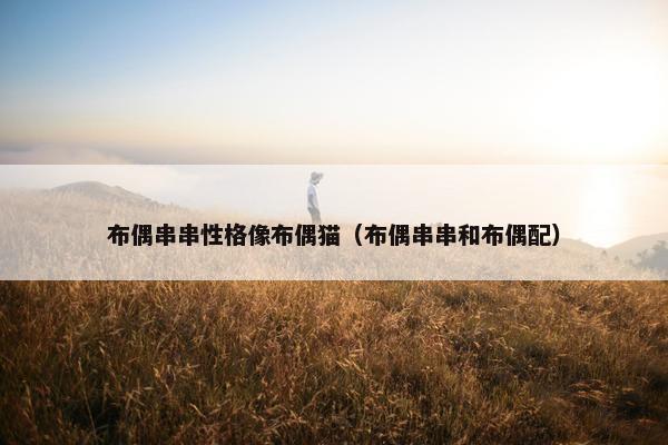 布偶串串性格像布偶猫（布偶串串和布偶配）
