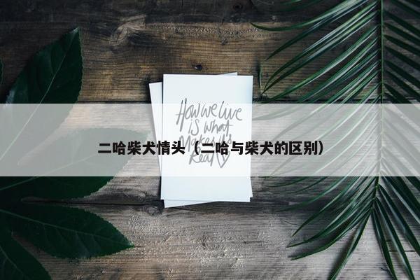 二哈柴犬情头（二哈与柴犬的区别）