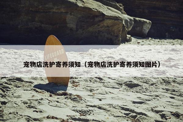 宠物店洗护寄养须知（宠物店洗护寄养须知图片）