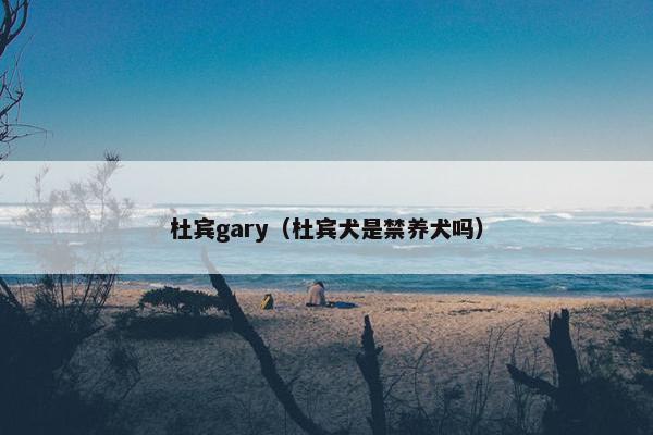 计算机