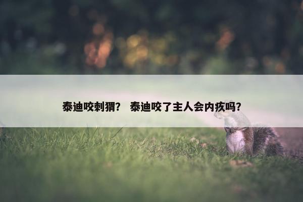 泰迪咬刺猬？ 泰迪咬了主人会内疚吗？