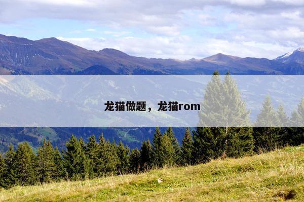 龙猫做题，龙猫rom