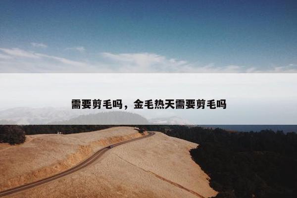 绵羊