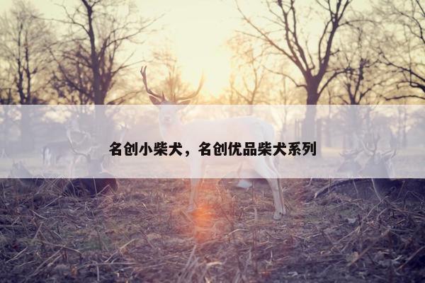 名创小柴犬，名创优品柴犬系列