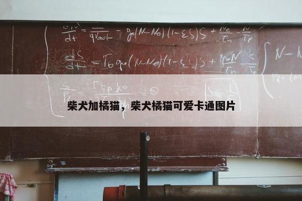 柴犬加橘猫，柴犬橘猫可爱卡通图片