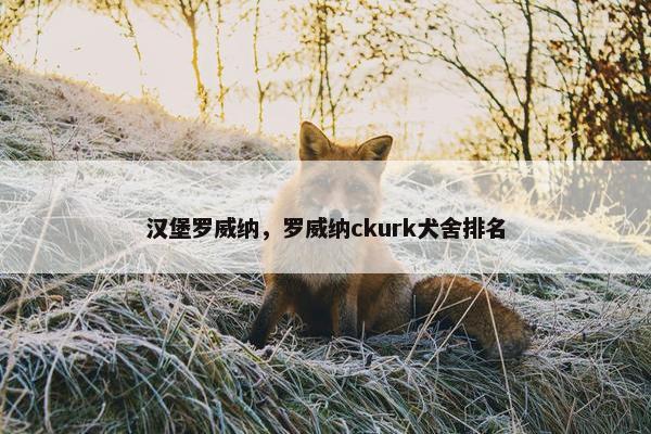 罗威纳 第17页