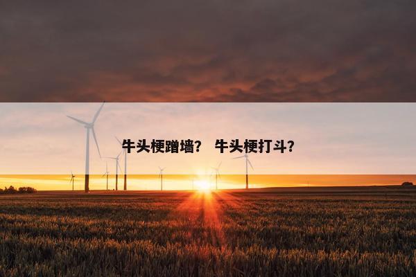 牛头梗 第29页