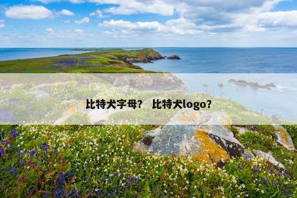 比特犬字母？ 比特犬logo？