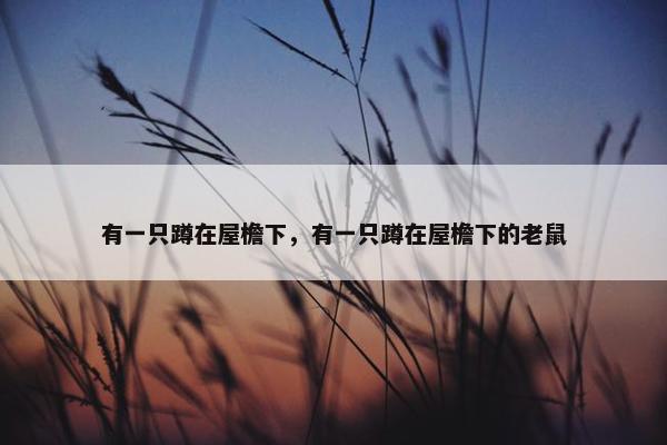 麻雀