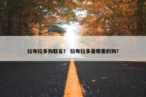 拉布拉多狗取名？ 拉布拉多是哪里的狗？