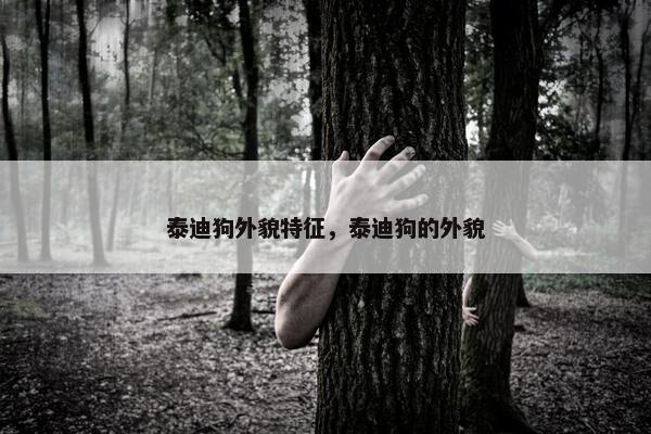 泰迪狗外貌特征，泰迪狗的外貌