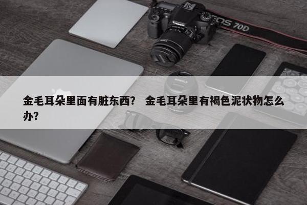 金毛耳朵里面有脏东西？ 金毛耳朵里有褐色泥状物怎么办？