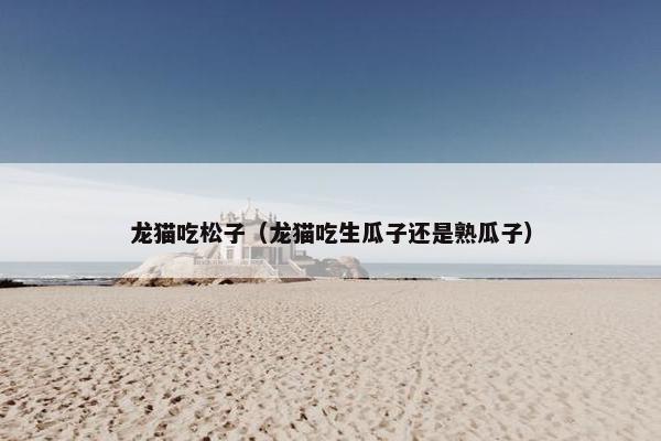 龙猫吃松子（龙猫吃生瓜子还是熟瓜子）