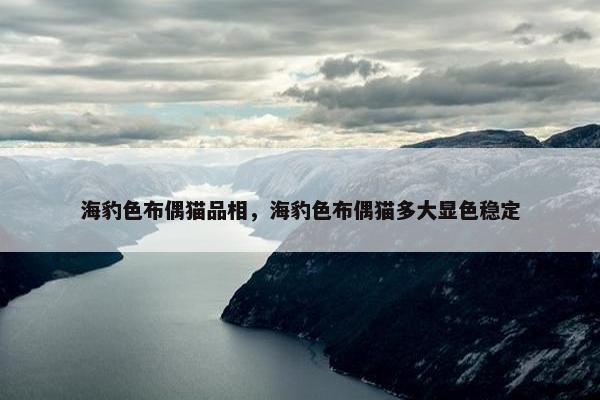 海豹色布偶猫品相，海豹色布偶猫多大显色稳定