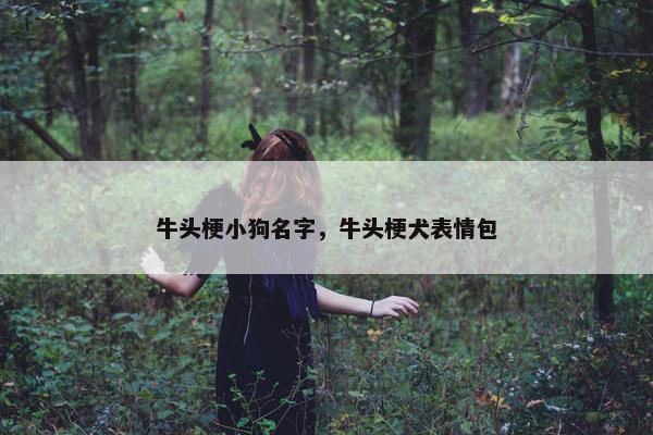 斑点狗