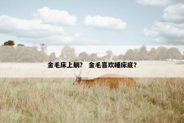 金毛床上躺？ 金毛喜欢睡床底？
