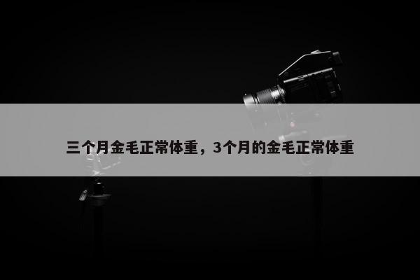 三个 第2页