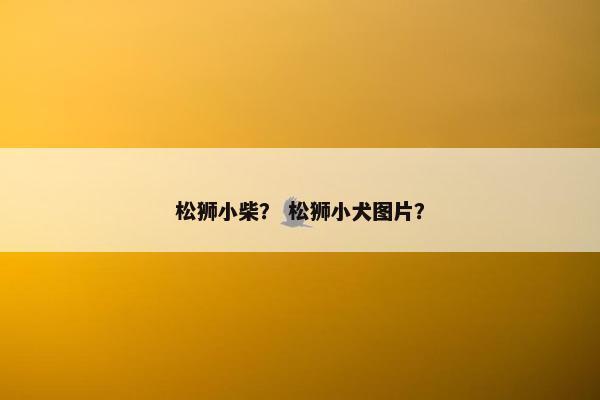 松狮小柴？ 松狮小犬图片？