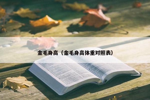金毛身高（金毛身高体重对照表）