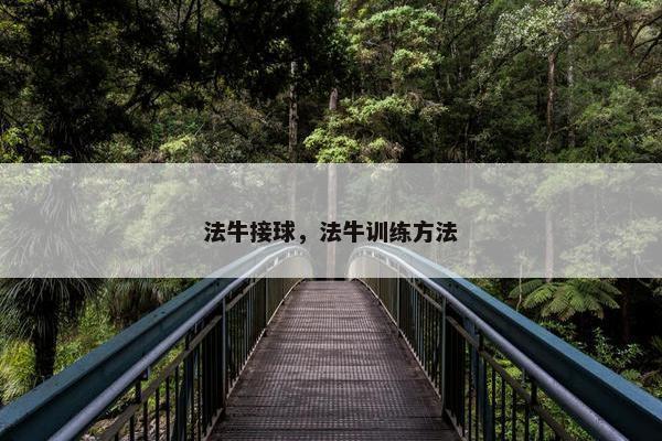 法牛接球，法牛训练方法