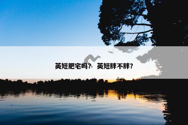 英短肥宅吗？ 英短胖不胖？