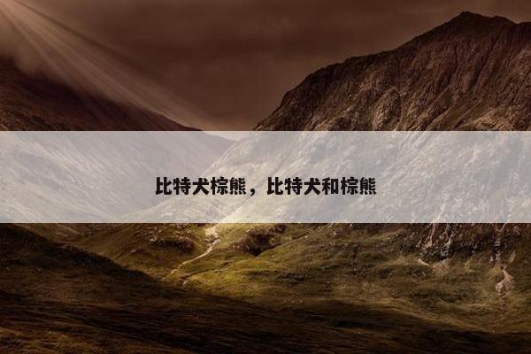 比特犬棕熊，比特犬和棕熊
