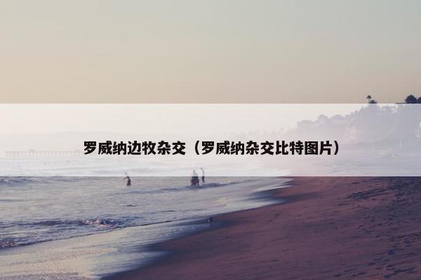 罗威纳边牧杂交（罗威纳杂交比特图片）