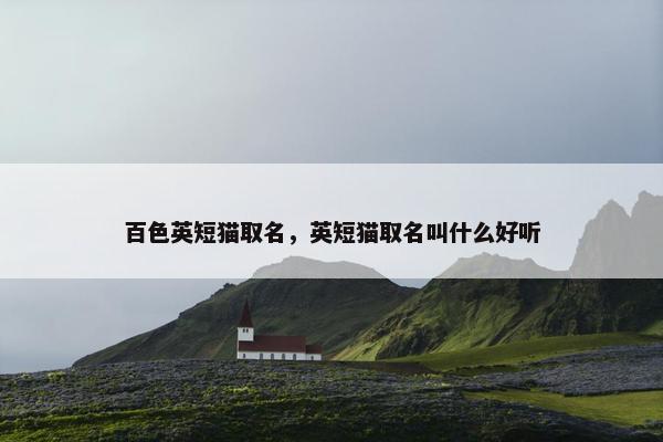 百色英短猫取名，英短猫取名叫什么好听