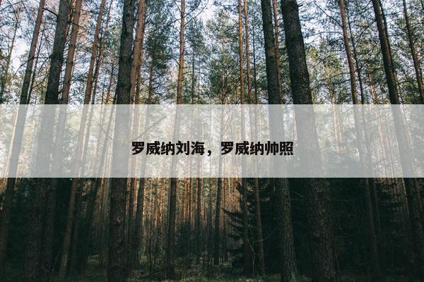 罗威纳刘海，罗威纳帅照